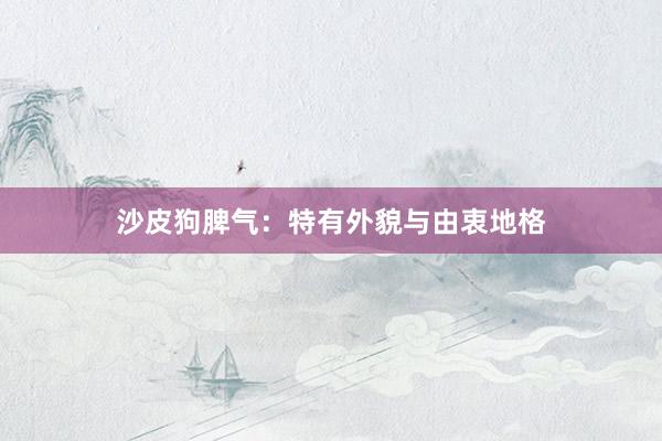 沙皮狗脾气：特有外貌与由衷地格